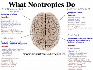 how nootropics work